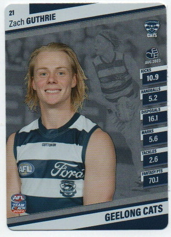 Silvers - Geelong Cats