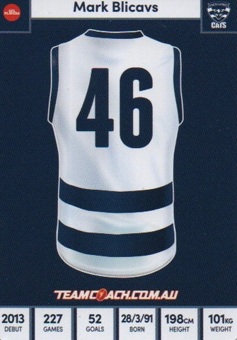 Commons 2023 - Geelong Cats