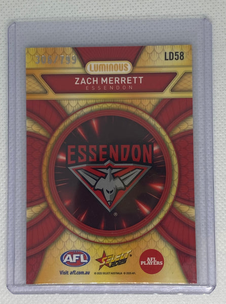 Dragon Scales - Zach Merrett