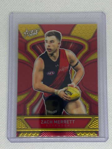 Dragon Scales - Zach Merrett