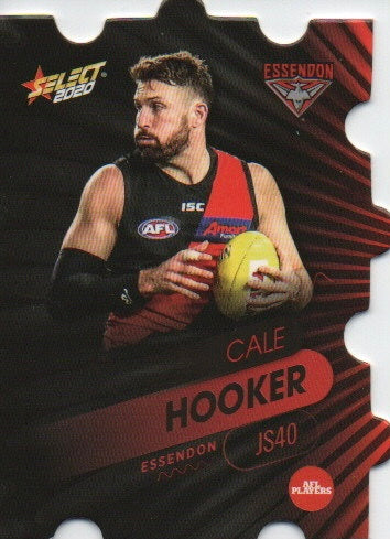 Jigsaw-Essendon